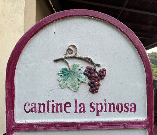 la spinosa azienda agricola toscana
