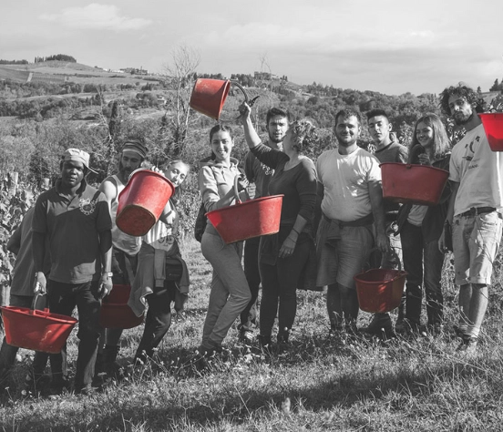 produzione agricoltura biologica toscana vino olio