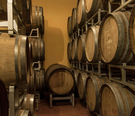 Cantina biologica La Spinosa a Barberino Val d'Elsa, una struttura progettata nel 2017 per l'accoglienza e la produzione nel Chianti