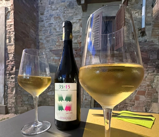Produzione di vini biologici La Spinosa: recupero dei metodi classici e pratiche biologiche avanzate dal 2007